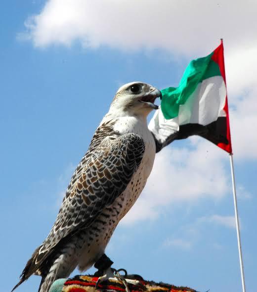 The flag of the United Arab Emirates